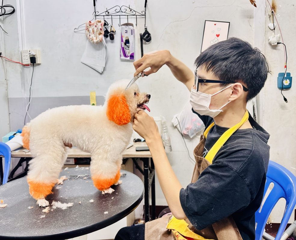 Danh sách cửa hàng VinaPhone tại TP. Hồ Chí Minh
